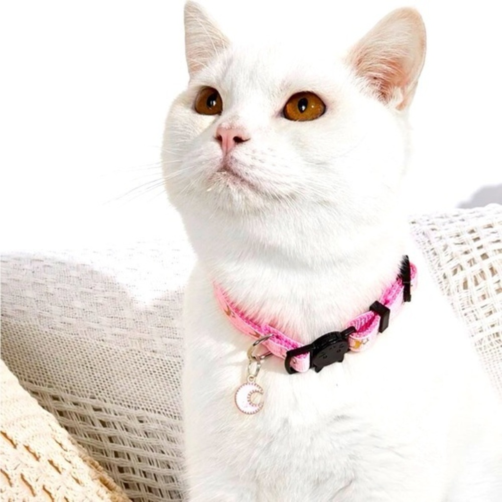 Moon 🌙 Pendant Cat Collar